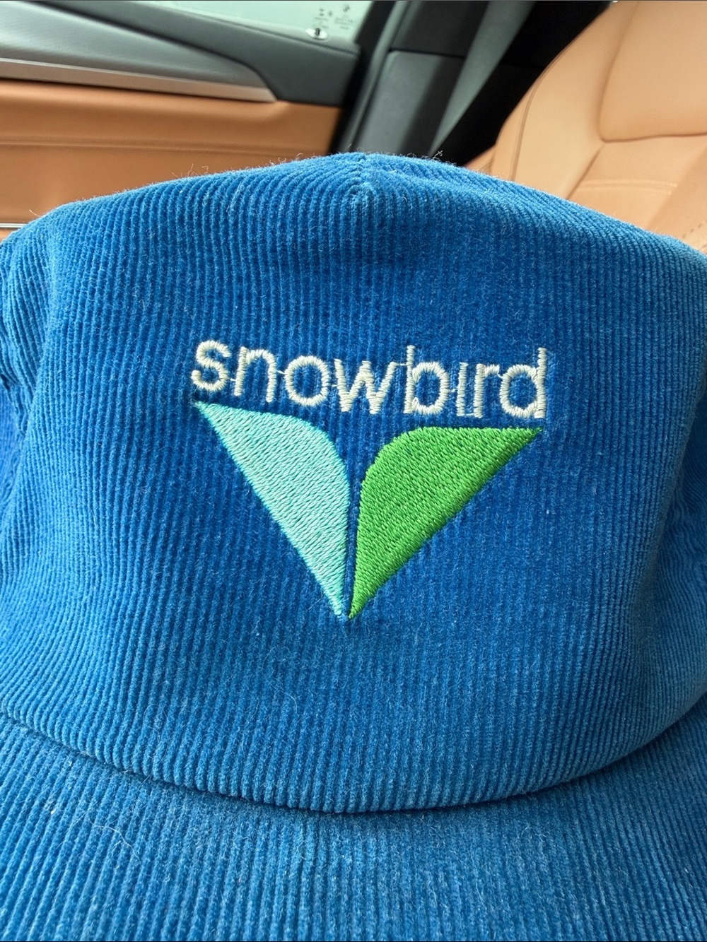 Vintage Snowbird Corduroy Hat